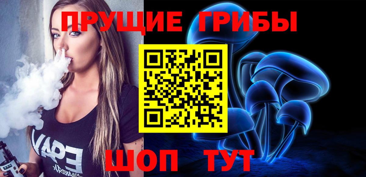 купить   Галлюциногенные грибы GOLDEN TEACHER  Вход с VPN  Белгород 